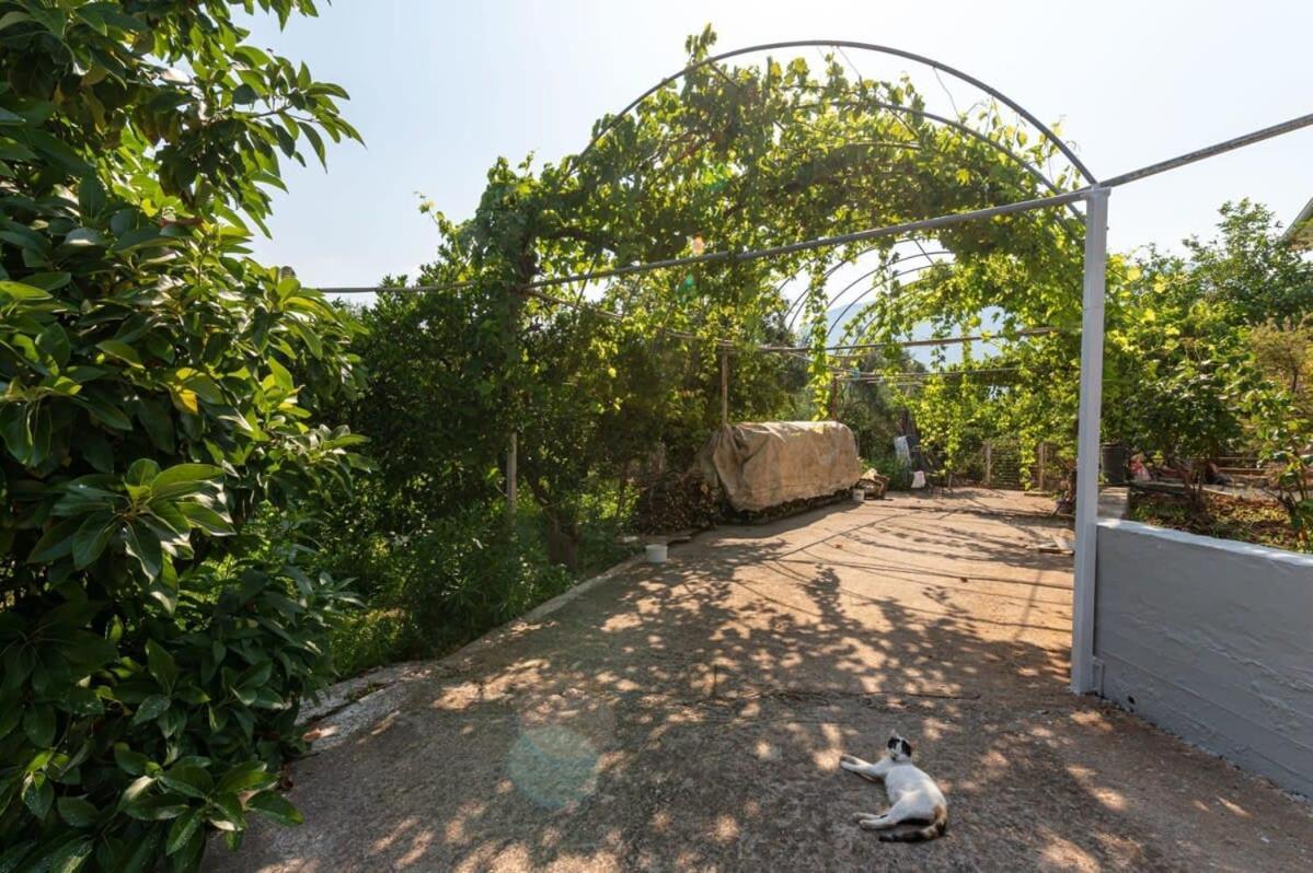Serene Seaside Bliss - Lush & Secluded Garden Oasis カラマタ エクステリア 写真